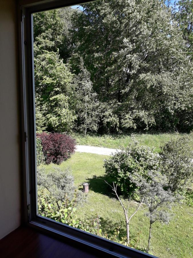 Agrohaczow Za Rzeka Apartament 8-Osobowy Экстерьер фото